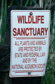 Wildlife Sanctuary  Alison Sheehey 2001