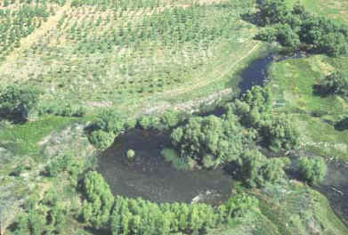 Aerial Photo Prince Pond Restoration Site